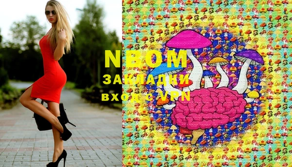 прущие грибы Абинск