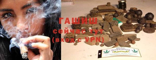 прущие грибы Абинск