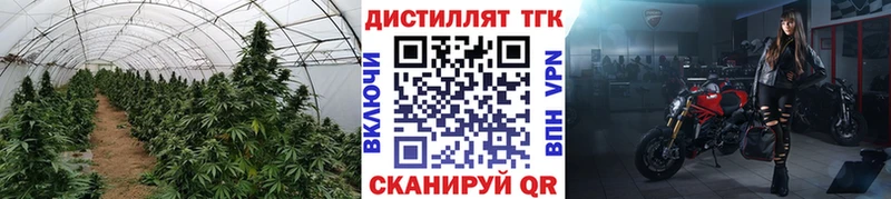 где продают наркотики  Уржум  ТГК вейп с тгк 