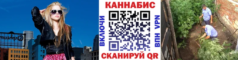 купить   Уржум  Марихуана сатива 